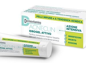DERMOVITAMINA ACNECLIN IDROGEL ATTIVO AZIONE INTENSIVA 40 ML