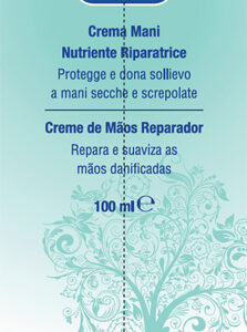 ALVITA CREMA MANI NUTRIENTE 100 ML